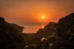 田植え後の夕日
