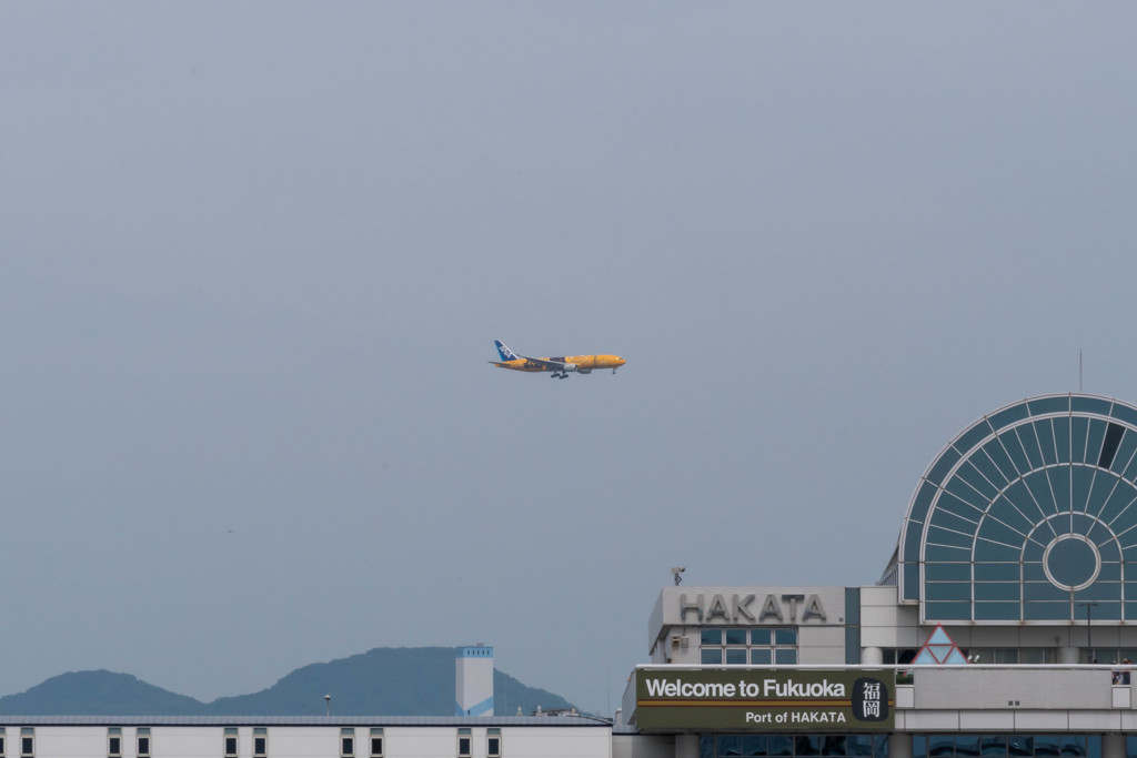 WELCOME TO  FUKUOKA