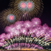 ２０１９八代花火競技大会