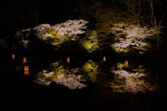 鏡桜