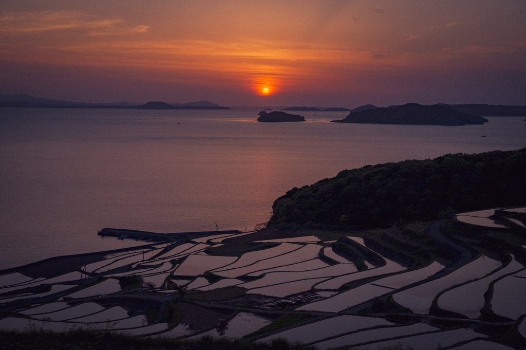 土屋棚田