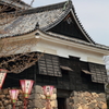 桜咲く