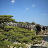 錦帯橋
