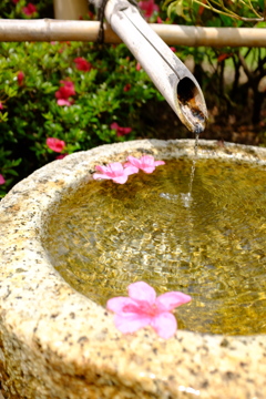 春の終わり、初夏の始まり
