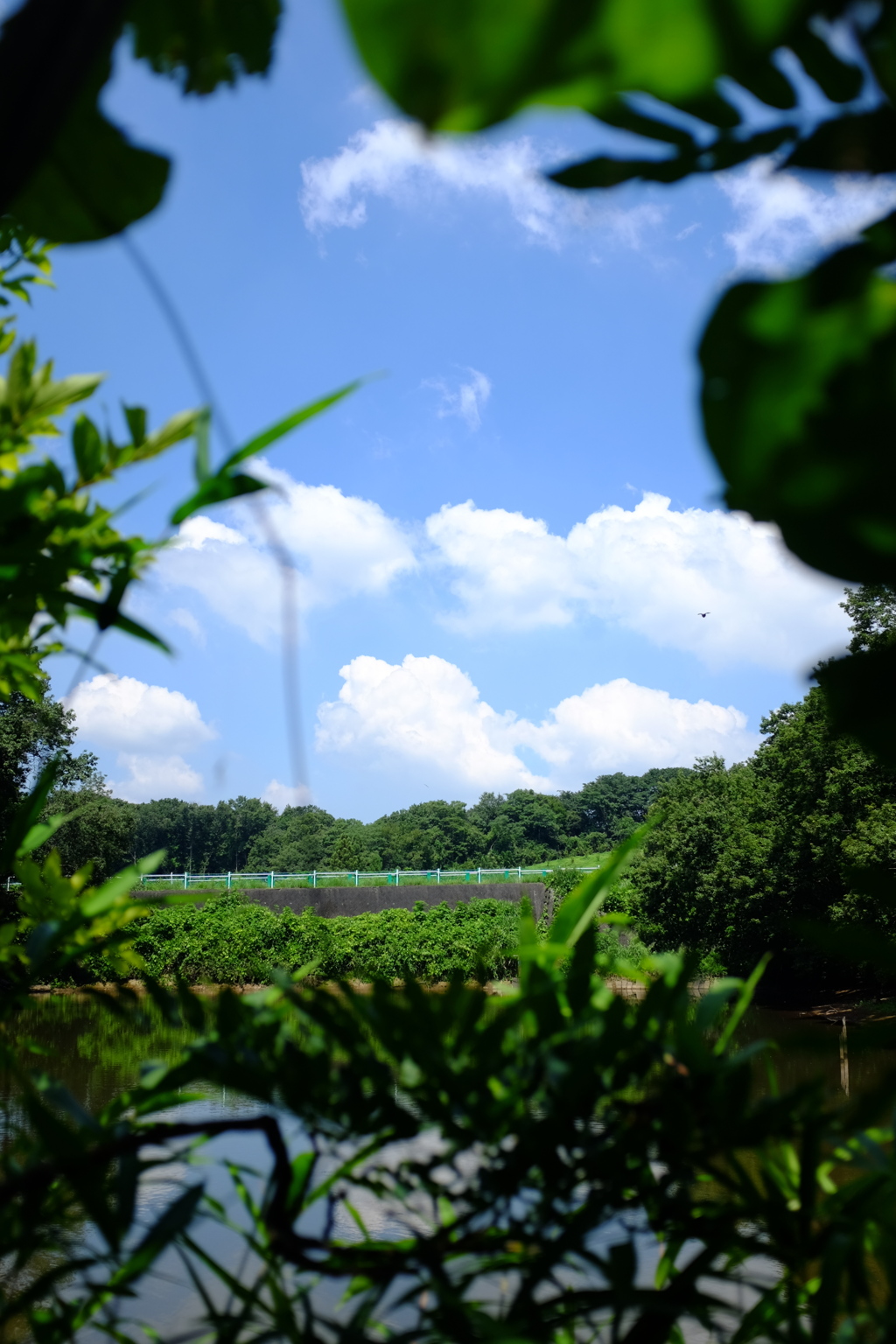 たまには、空を見上げて。