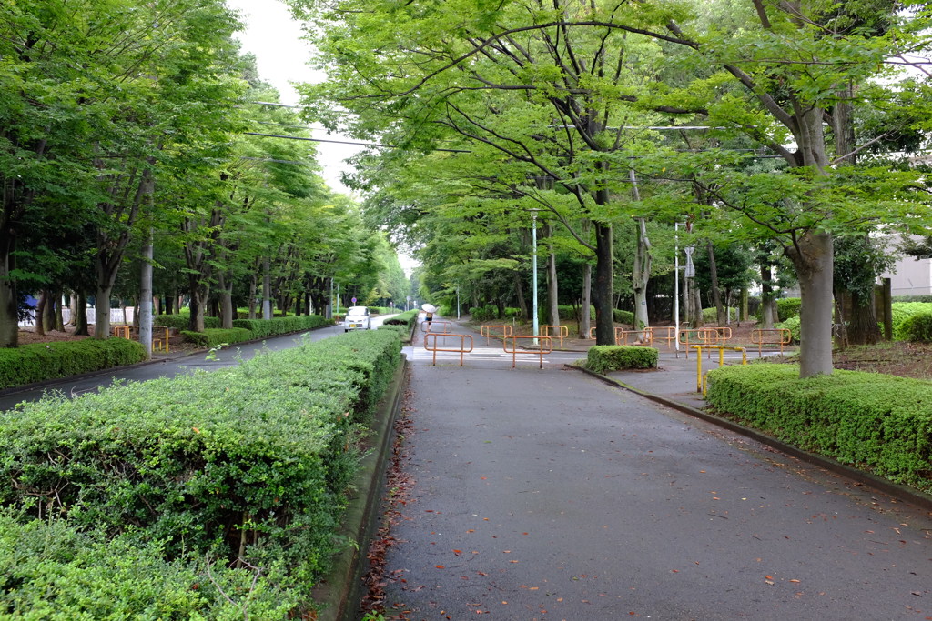 共に過ごした街の、ある一日　その5