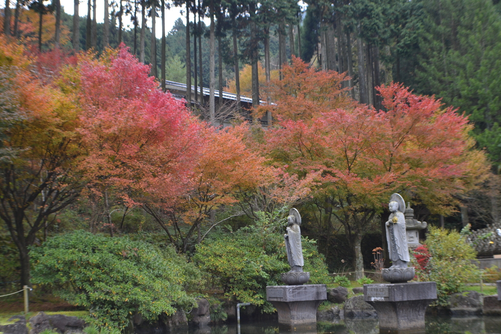 呑山観音寺の紅葉