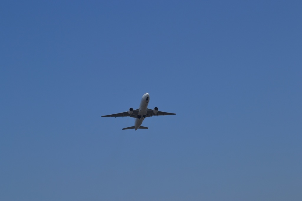 まっさ青な空の中に