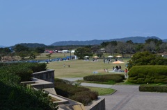 海の中道海浜公園３