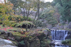 自宅近くの公園にて