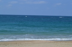 砂浜