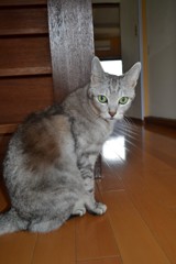 リオン