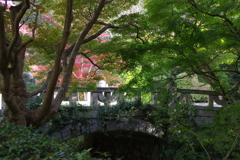 毛利庭園