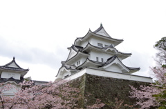 伊賀上野城