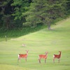 慎重に慎重に