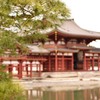 平等院、松とともに