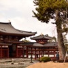 平等院、松とともに