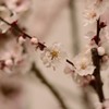 春の予感