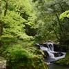 新緑の渓谷　『紅葉滝』