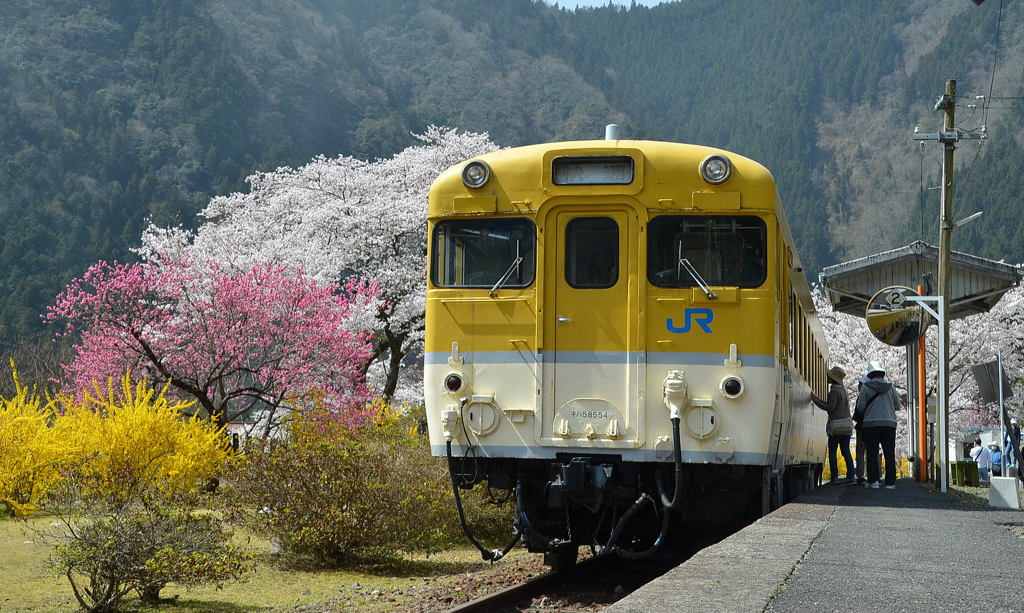 春爛漫～安野花の駅公園～