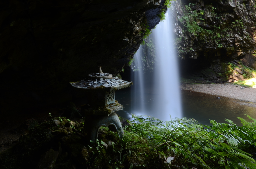 神秘の森～龍頭ヶ滝