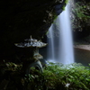 神秘の森～龍頭ヶ滝