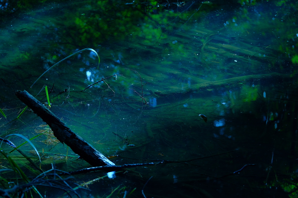 光の導くままに