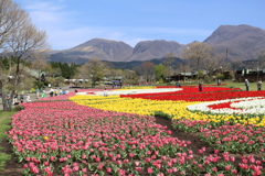 久住花公園④