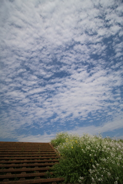 綺麗な空