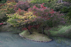 用作公園の紅葉