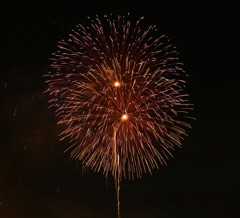 日田川開き観光祭③