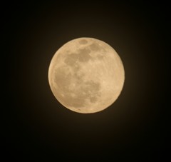 満月の夜