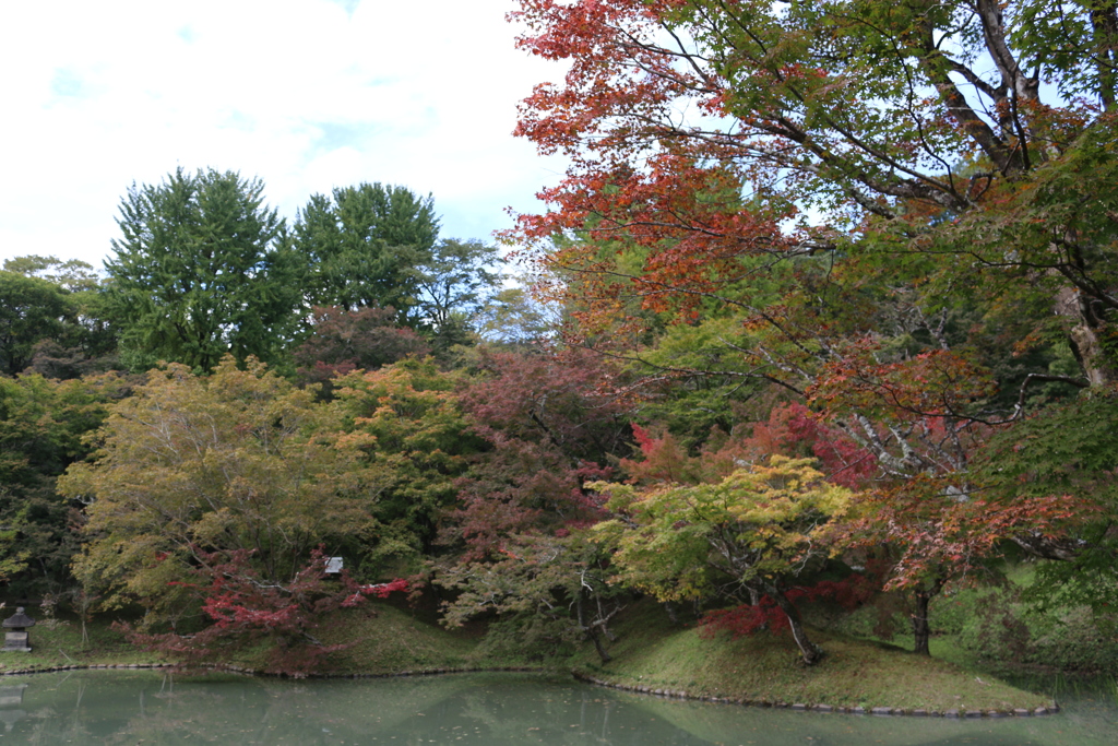 紅葉狩り2017