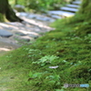 遊歩道1