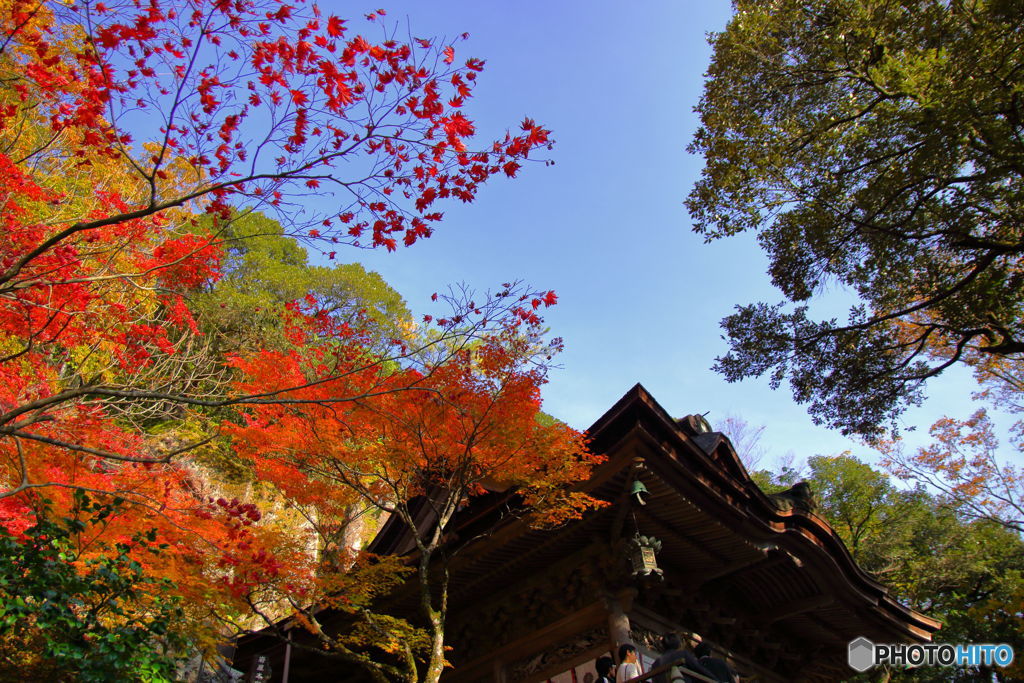 遺式