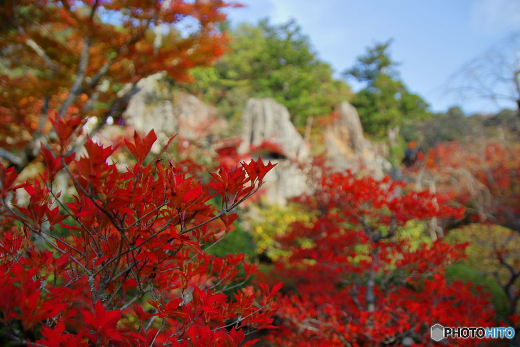 真紅