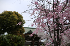 東別院