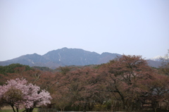 千人塚