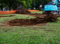 破壊王あらわる