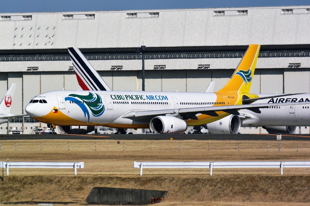大型化したセブパシフィック航空 