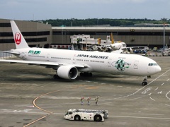 JAL 777-300 (JA734J) 新エコ