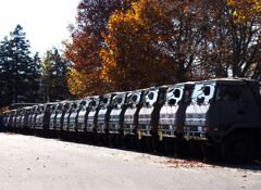 紅葉の下には整列がある