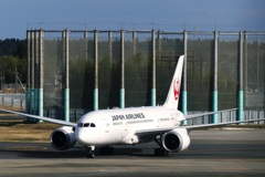 JAL 787-8 (JA833J)