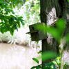 森の巣箱