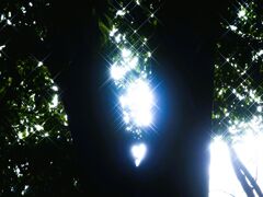 ガブリエルの伝言