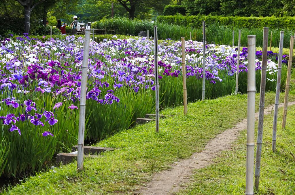 市内の公園