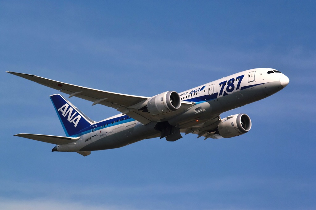 ANA 787-8 (JA813A) 