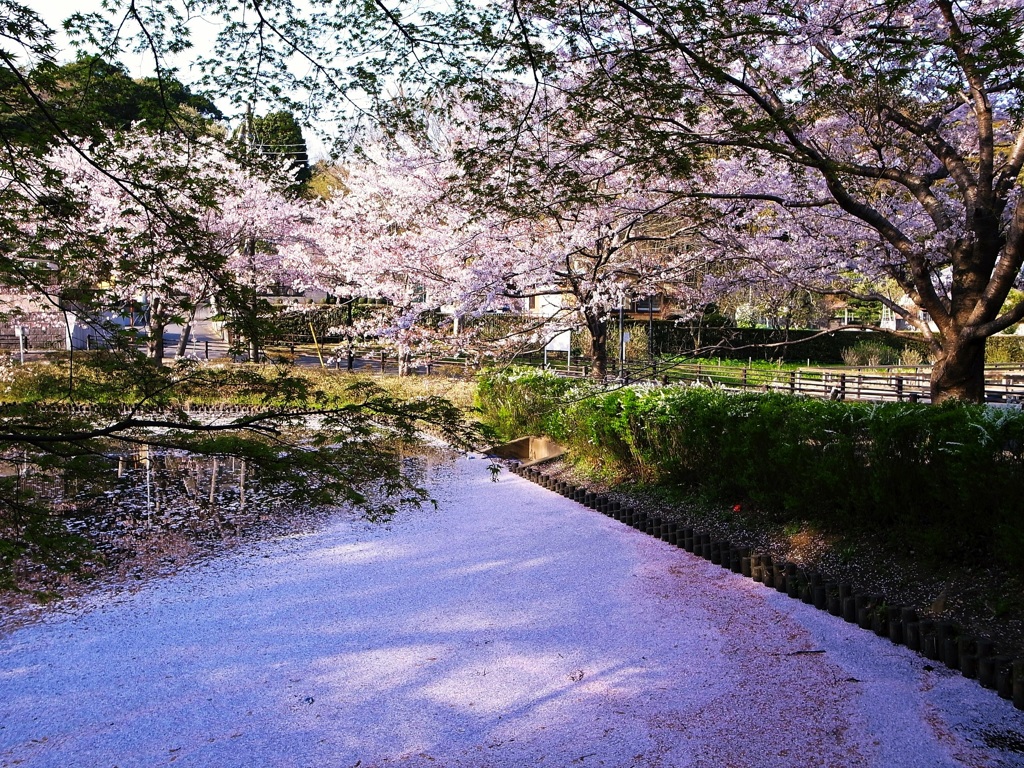 おわりの予感