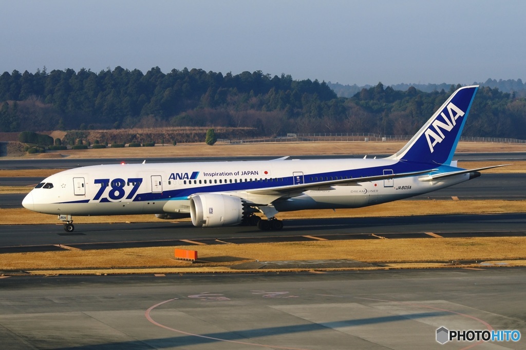 ANA 787-8 (JA805A)