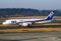 ANA 787-8 (JA805A)